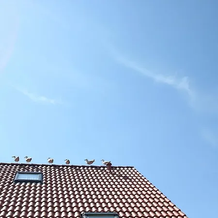 Seeschwalbe Ferienwohnung Nr 08 Breege